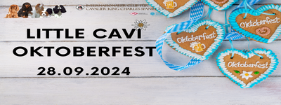Little Cavi Oktoberfest 2.0  28.09.2024