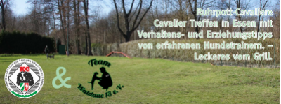 Ruhrpott-Cavaliere - Cavalier Treffen in Essen 